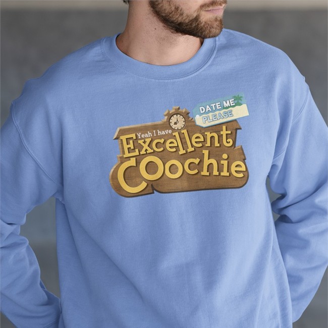 Shirts That Go Hard Merch Yeah I Have Excellent Coochie Date Me Please Hoodie Shirtsthatgohard