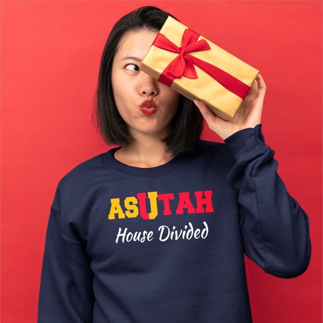 Asutah House Divided T Shirt