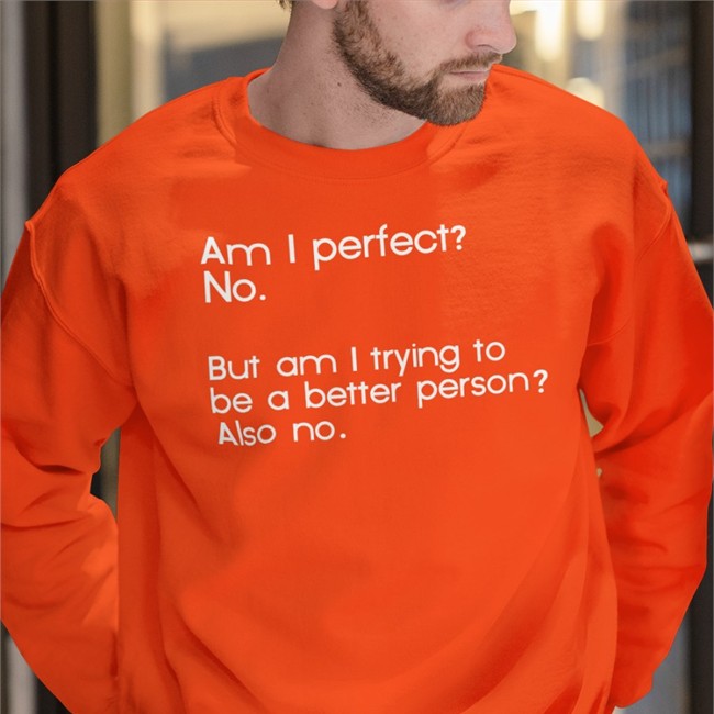 Am I Perfect No But Am I Trying To Be A Better Person Also No T-Shirt