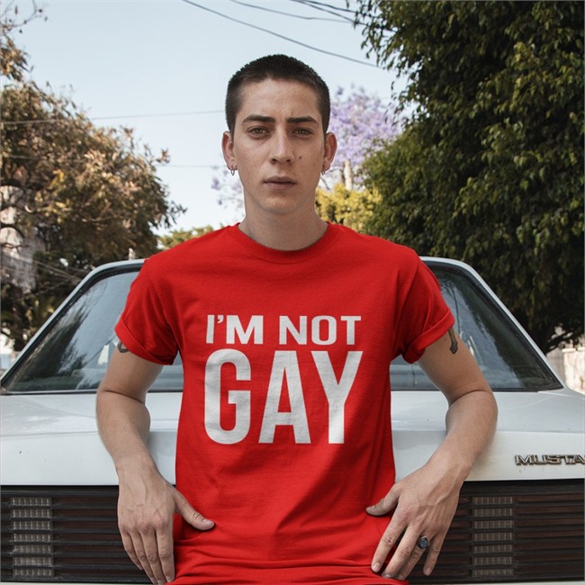 I'm Not Gay V Neck T Shirt Austin Show
